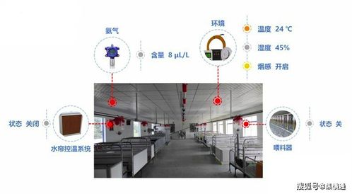 生豬養(yǎng)殖場(chǎng)的智能監(jiān)控與控制系統(tǒng)集成應(yīng)用探討